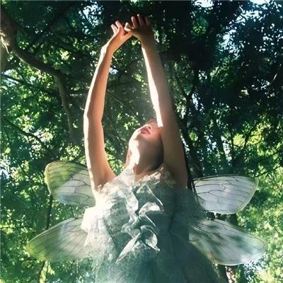 十二生肖：世界末日的迹象